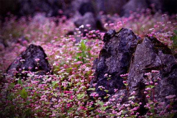 Hoang Kim Ha Giang Hotel エクステリア 写真